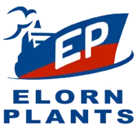Elorn Plants