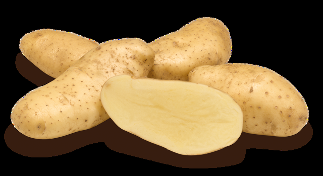 Spunta Potato Variety